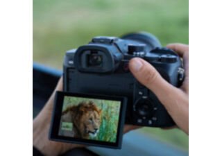 Sony RX10 V photo 7